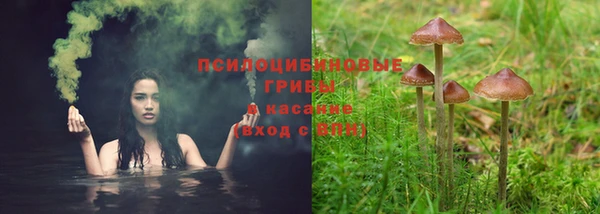 спиды Армянск