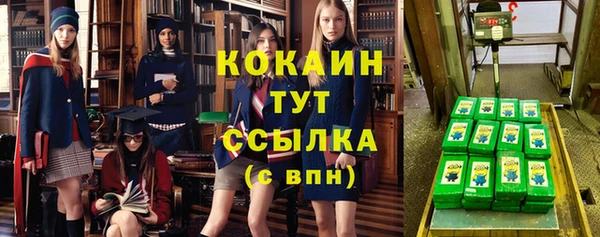 тгк Арсеньев