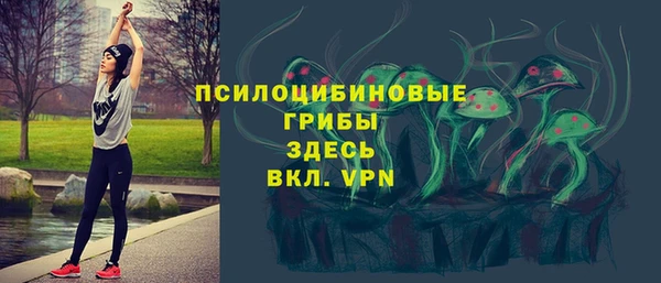 спиды Армянск