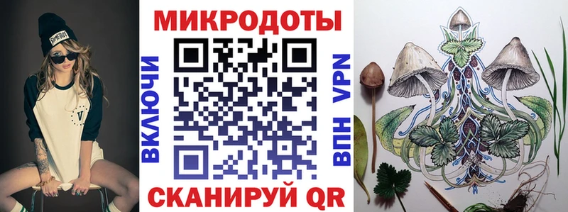 Галлюциногенные грибы Psilocybe  Салаир 